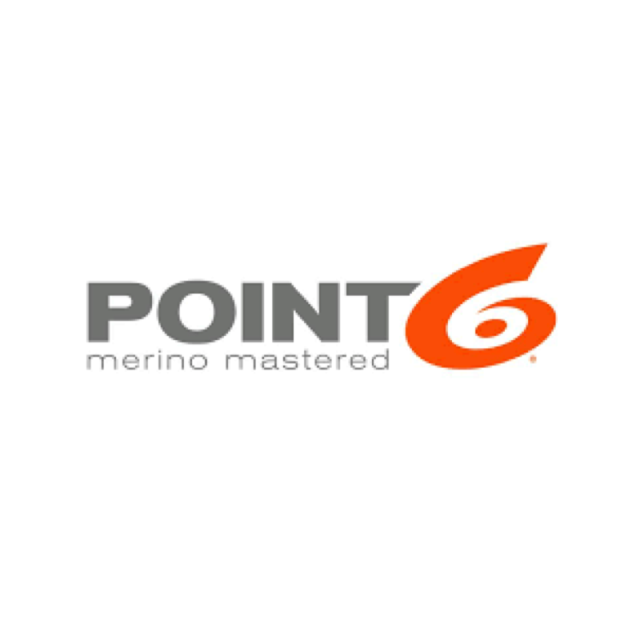 Logo Point6