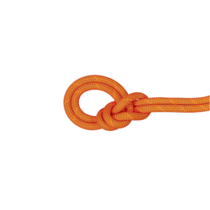 Mammut 9.8 Crag Dry Rope 50 m